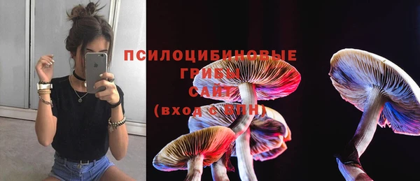 герыч Абинск